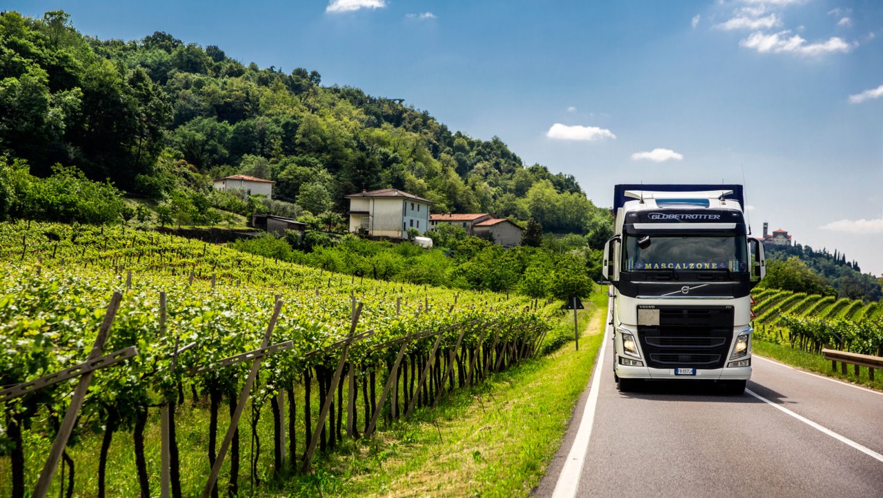 Sartori Trasporti tegutseb Itaalias ja veokid sõidavad peamiselt Vicenza provintsis (peakontori asukoht) ja Toscana provintsis, kuhu veetakse klientidele kaupa.